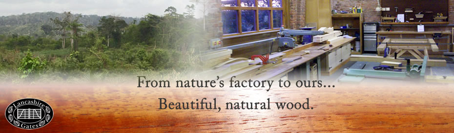 The beauty of wood